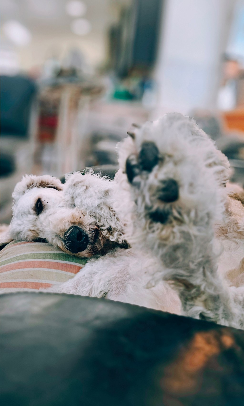 I Wanna Go&nbsp;Back